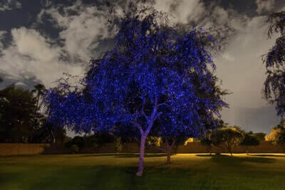 Blue-Laser-Tree