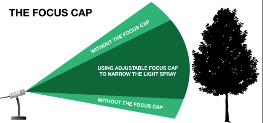 SMI-Focus-Cap