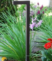 ap-300b-beauty-final-jpg