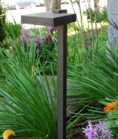 ap-390b-beauty-final-1-jpg