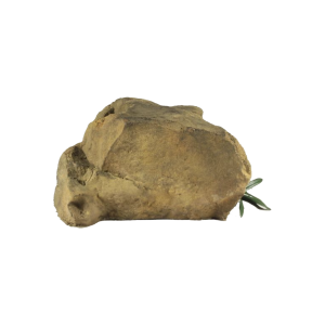 area-rock-01__52364-png