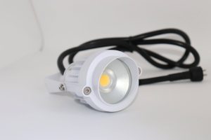 img_0656-1-scaled-jpg