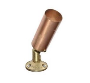 rxd-02-ts-cop_111410_50-1-jpg