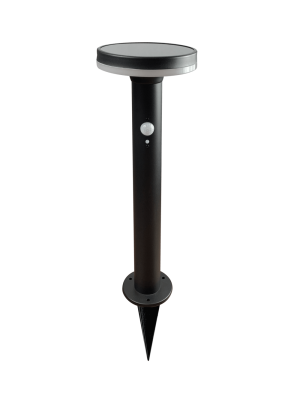 solarpathlightblackwstake-png
