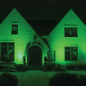 vivid_green_house-1-png