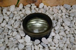 cardinal-card-12-35-1375033145-1-jpg