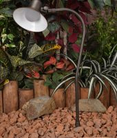 excalibur-b25-20-wb-1375029421-1-jpg