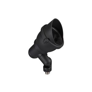 1091-m-jpg