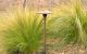 al-04-ledp_bar_app_120513_005-1-scaled-jpg