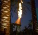 al-18-lg_gas_app_80-600x551-1-jpg