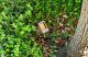 dl-04-ledp-cop_rt_001-600x397-1-1-jpg