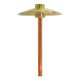 enhancer9-br-web__68291-jpg