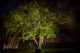led-fl-115_beauty-1-jpg