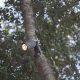 mooncaster-application__70532-png
