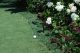 pgl-03_app_08-600x402-1-1-jpg