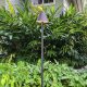 polynesian_application_03__95191-jpg