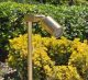 rxp-03-brs_062512_010-1-jpg