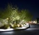 rxp-2-night-1-jpg