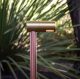 redwoodinthewild_forweb-1-jpg
