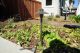 unique-lighting-neutron-in-ground-1-1-1-jpg