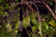 vb-06-web-png