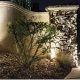 welllight_application_01__53258-jpg