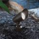 brown-accent-light-outdoor-1-jpg