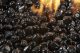 large-temperede-glass-diamonds-black-jpg
