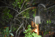 bryce_perf_application_night_web-png