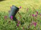cdl-20-rbv_05-600x450-2-jpg